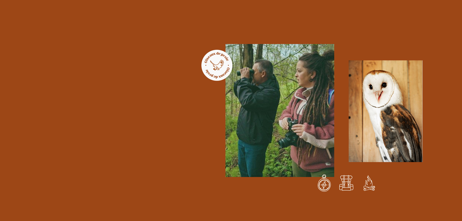 Joanie Lamoureux  | Le Safari de Joanie